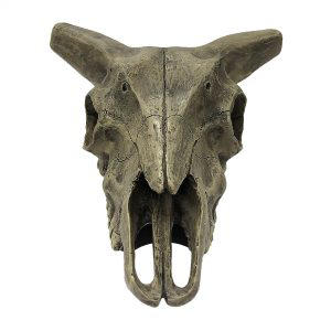 Deer Skull