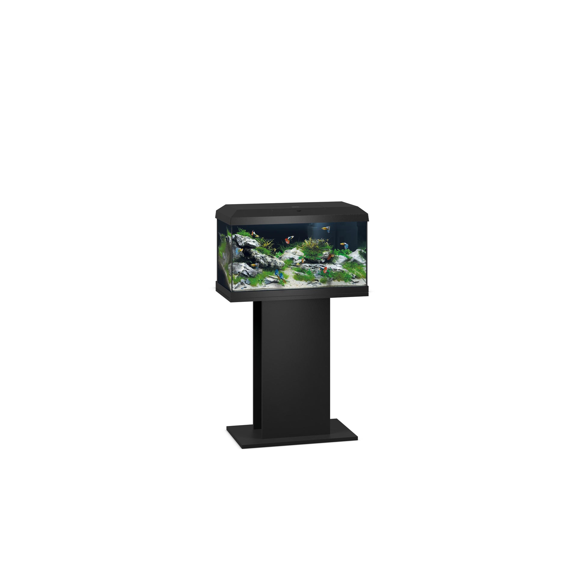Juwel Primo 60 LED 2.0 Black Combo