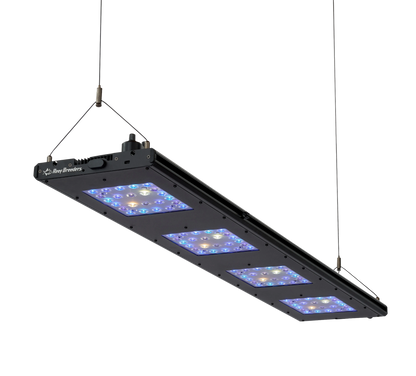 Reef Breeders LLC Reef Breeders Meridian 45 Original