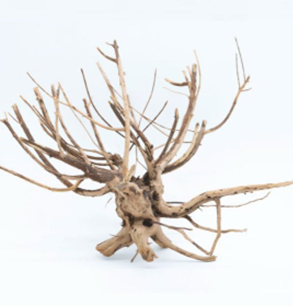 8"-12" Pine Root XS