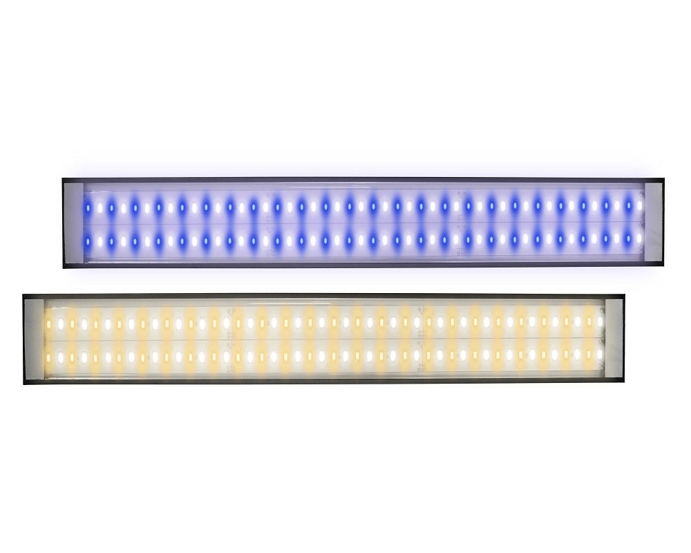 LumiLite Pro Blue LED Strip 24"