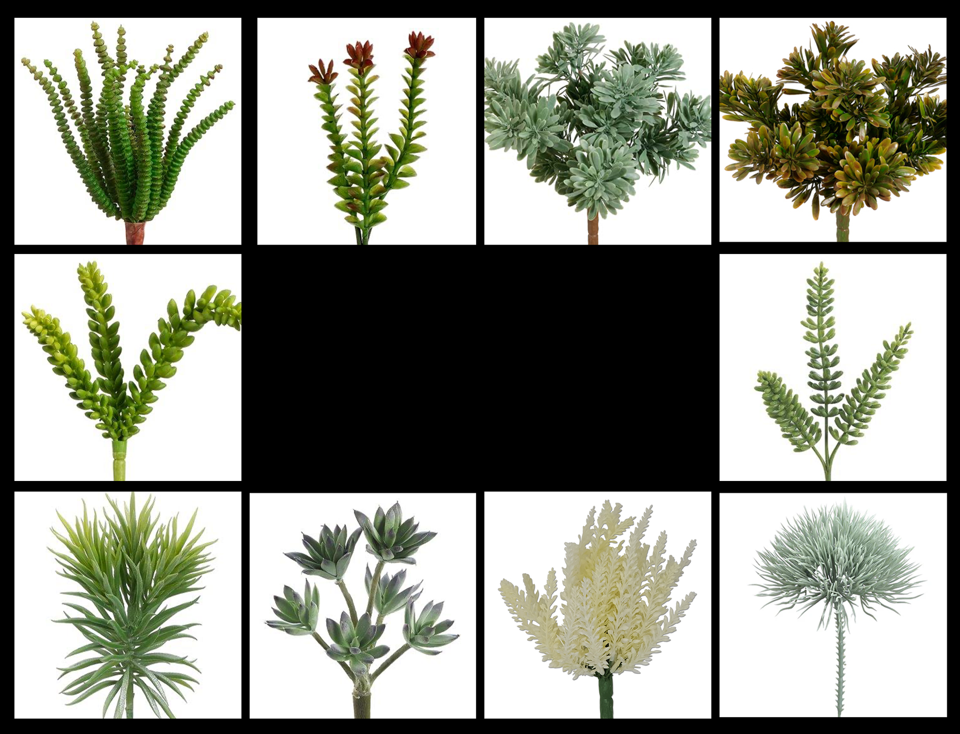 Tideline Naturescapes Naturescapes Essential Succulent Plant Pack