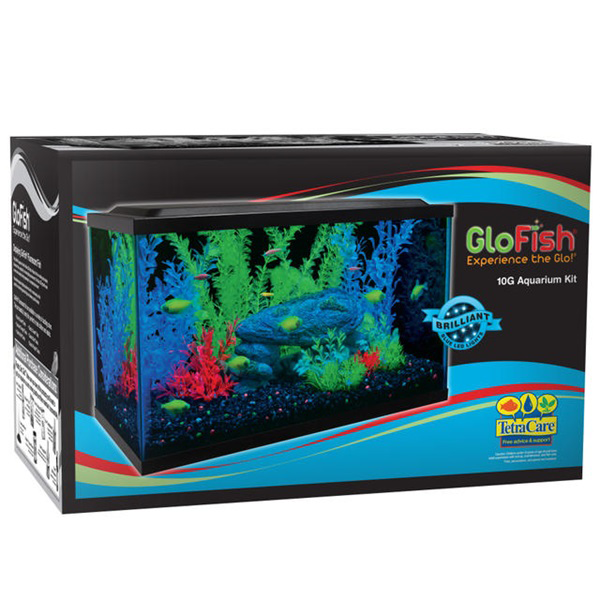 GloFish Aquarium Kit