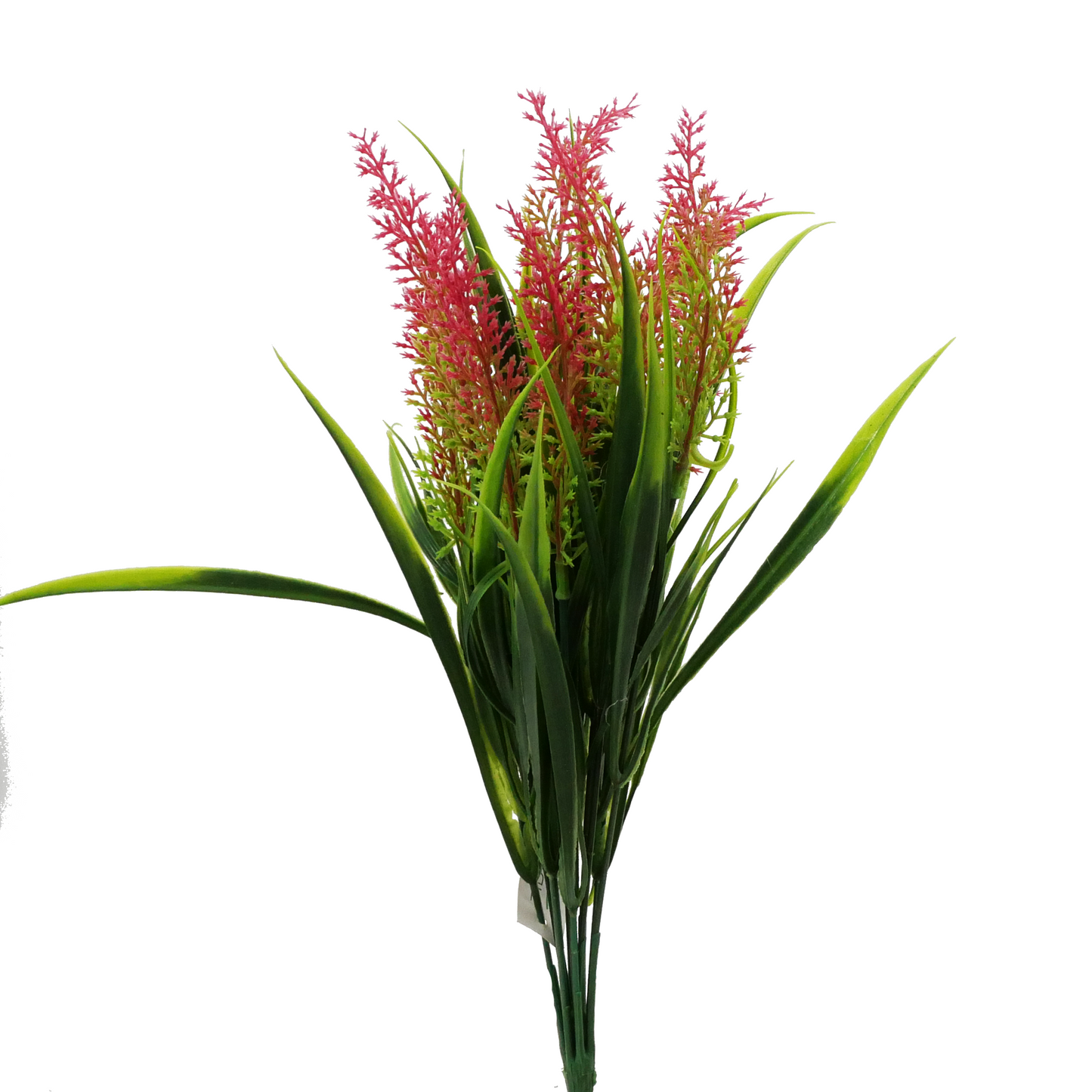 14" Medium Amaranth Grass - RED