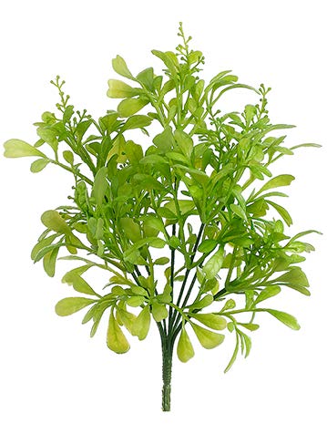 10" Odorata Leaf Bush Green