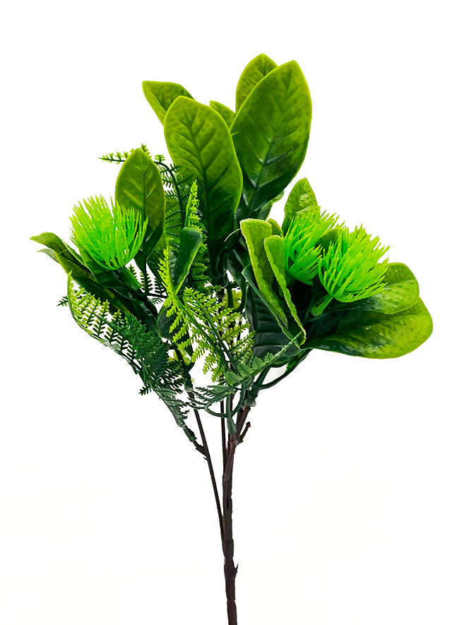 Tideline Naturescapes 12" Magnolia Fern