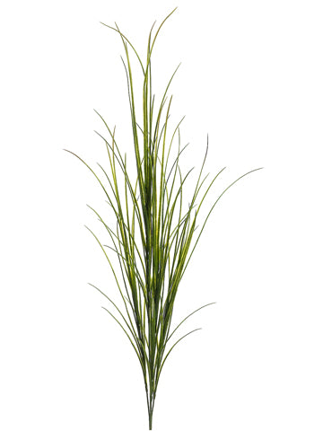 60" Wild Grass Bush Green