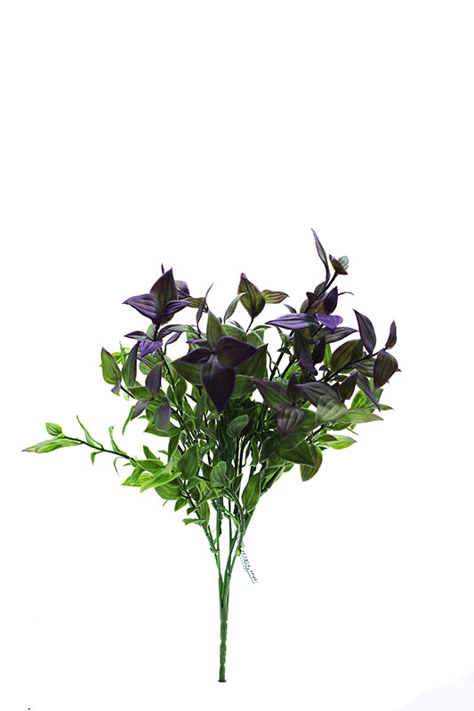 Tideline Naturescapes 12" Laurel Bush