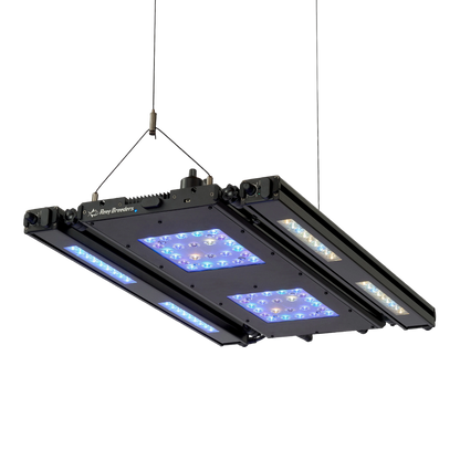 Reef Breeders LLC Reef Breeders Edge Articulating Mounts