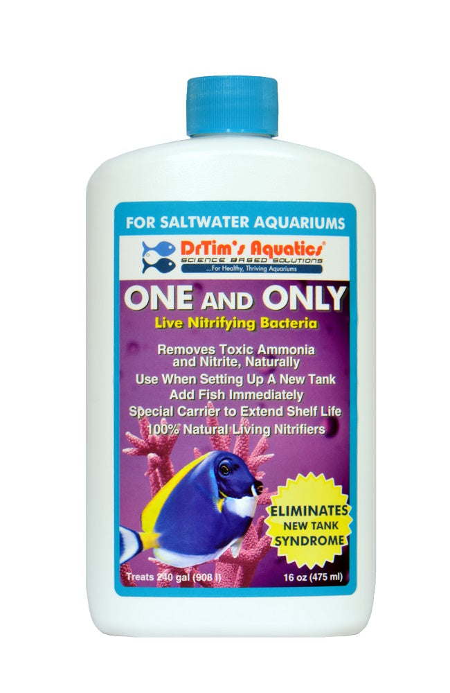 Reef One & Only (240 gal)