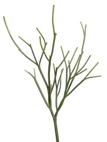 23" Pencil Cactus Plant Green