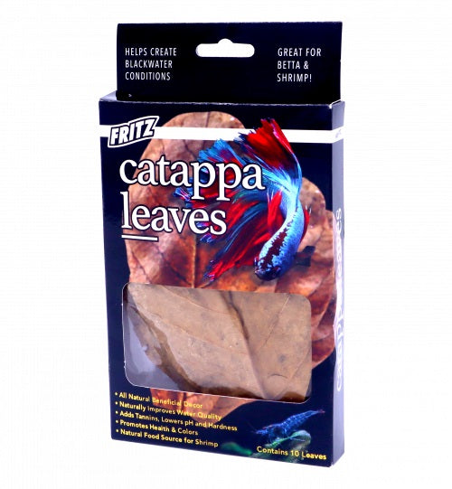 Fritz Catappa Leaves - 10pack