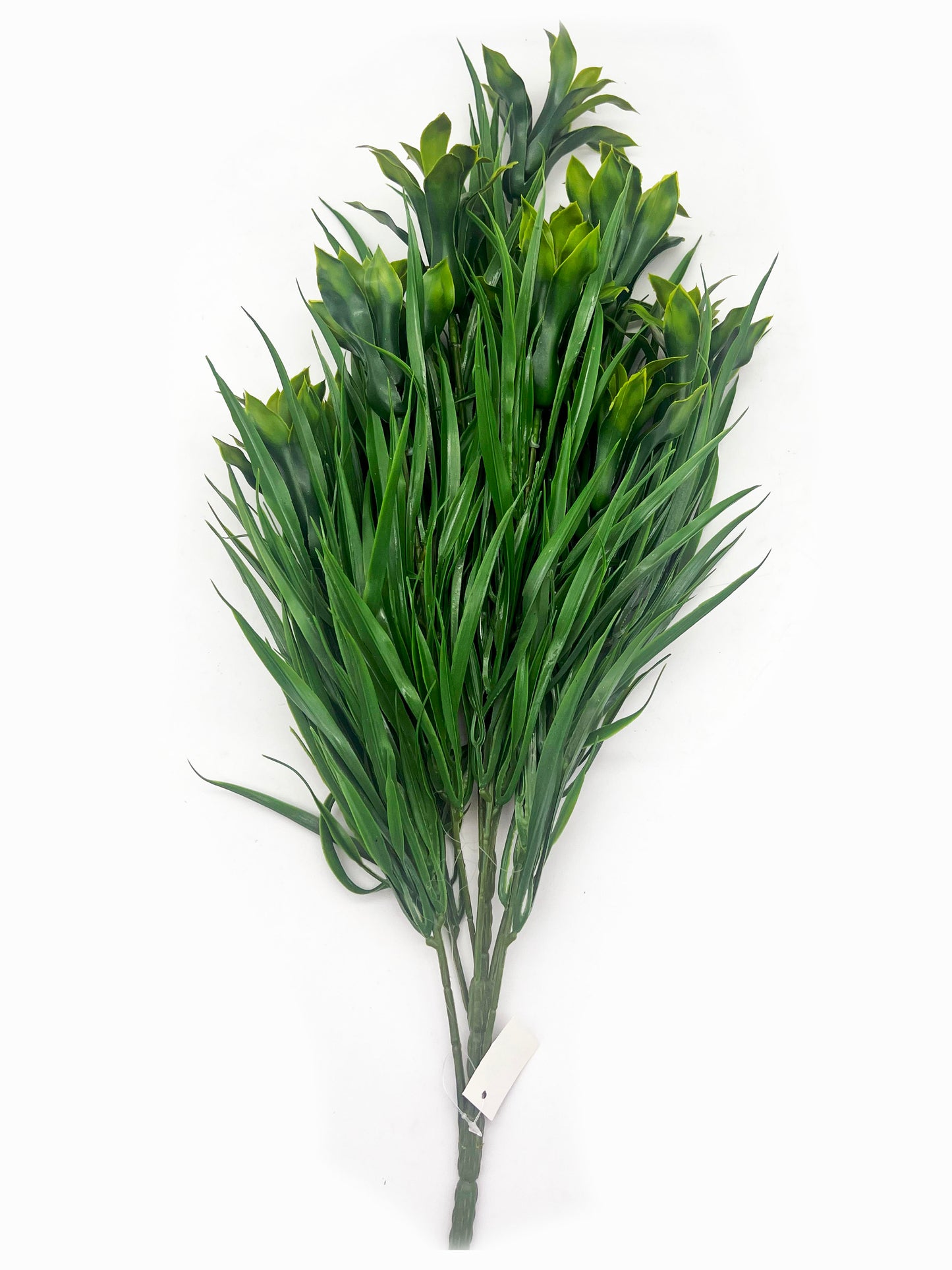 Tideline Naturescapes Naturescapes 30" Budding Dracaena
