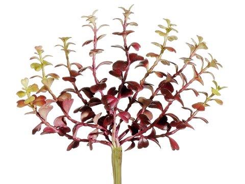 Tideline Naturescapes 8" Jade Plant Pick Burgundy
