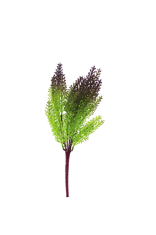 Tideline Naturescapes 12" Maidenhair - Purple