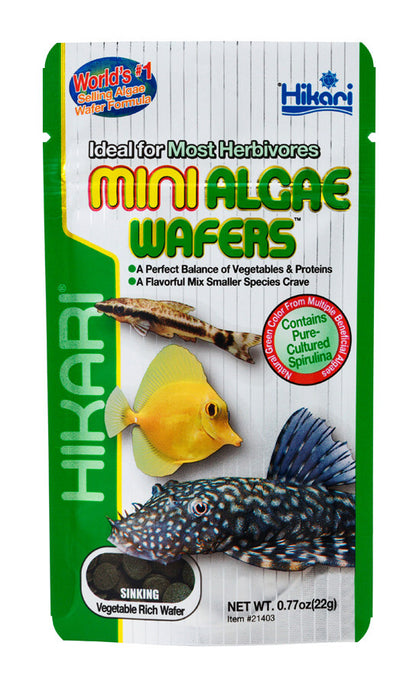 Hikari Mini Algae Wafers