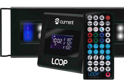 Current USA Orbit IC LED Fixture 18"-24"
