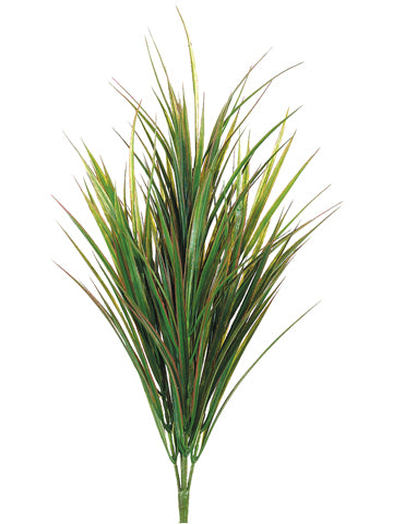33" Dracaena Bush Green/Red
