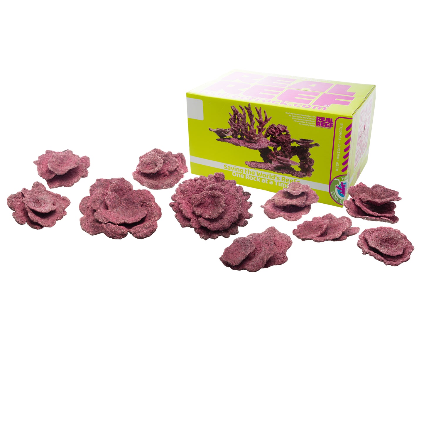 Real Reef Turbinaria Cups (10pcs)