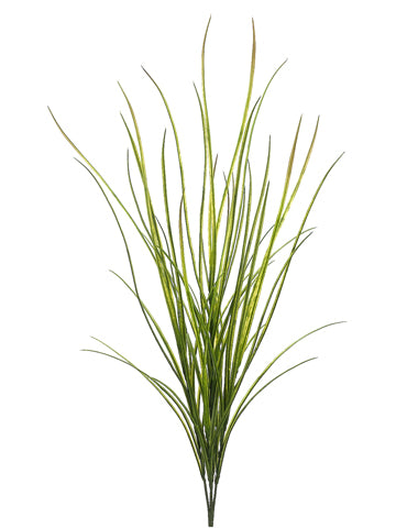 42" Tall Wild Grass Bush Green