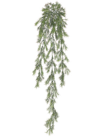 37.5" Sprengeri Hanging Bush Green
