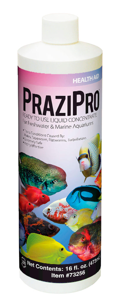 Hikari Prazipro Parasite Treatment