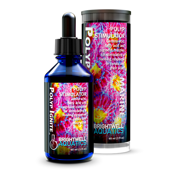 Brightwell Polyp Ignite /