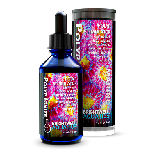Brightwell Polyp Ignite /