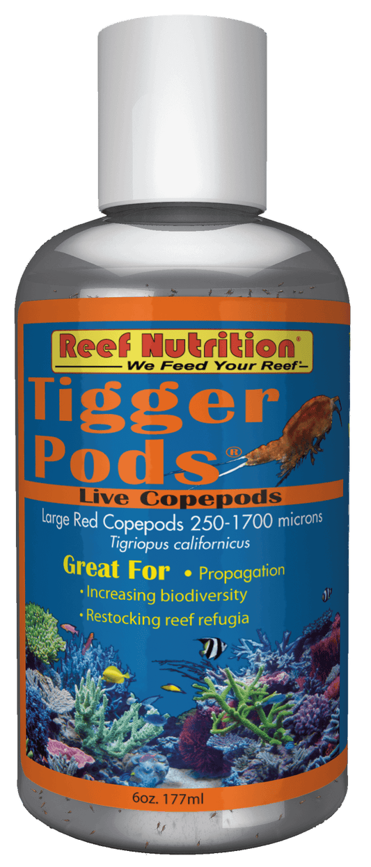 Tigger Pods 6oz (Live)