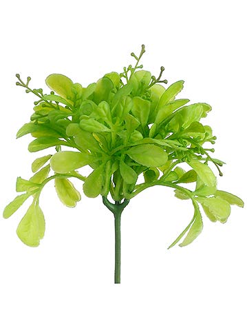 8" Odorata Leaf Pick Green