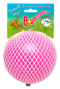 Jolly Pet Bounce-n-Play Ball Scented Dog Toy
