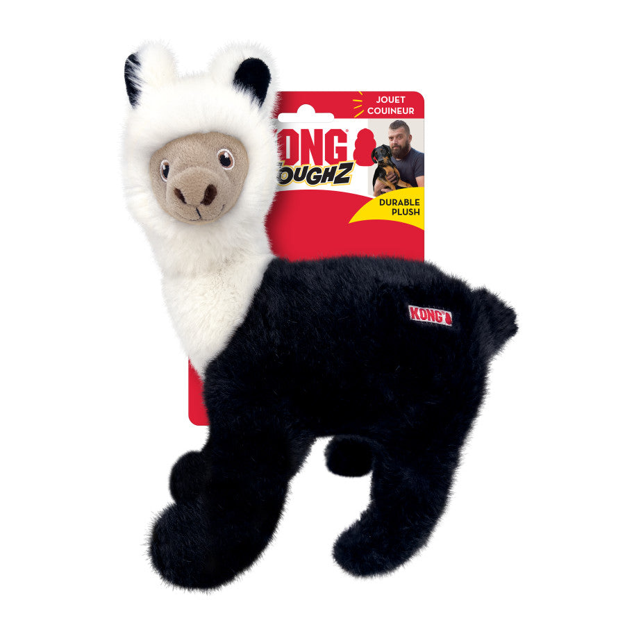 KONG Toughz Dog Toy