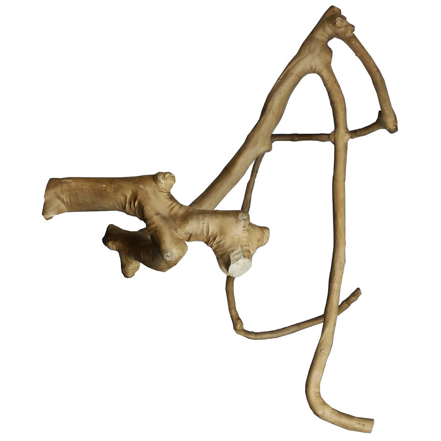 A & E Cages Java Wood Multi Branch Bird Perch
