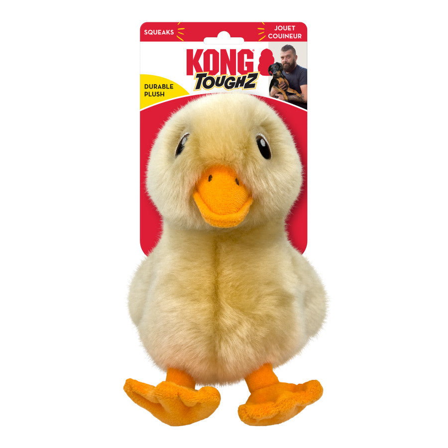 KONG Toughz Dog Toy
