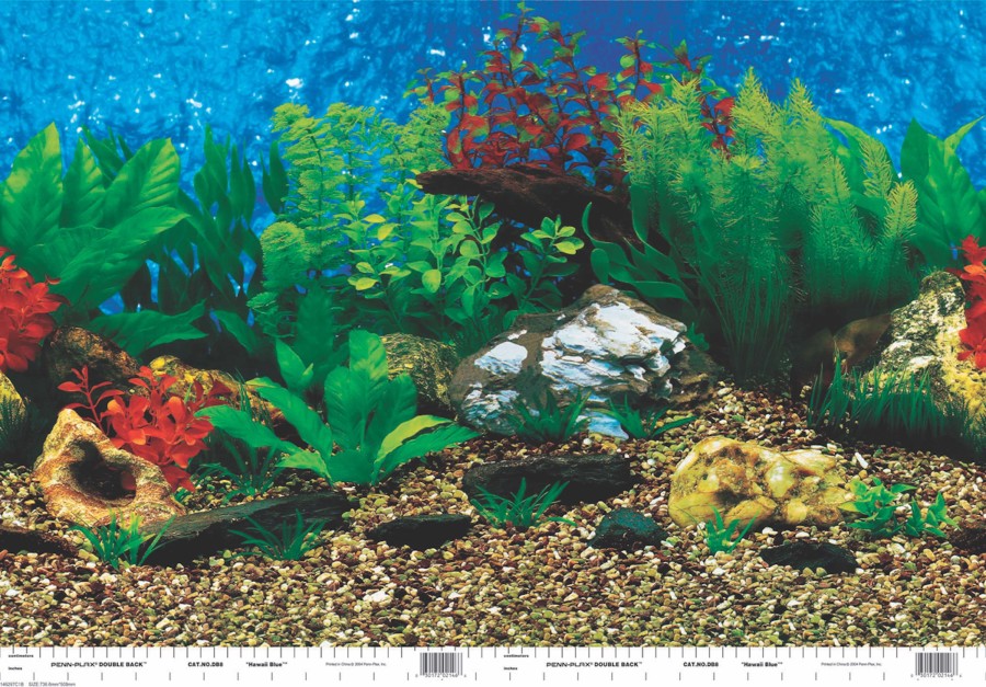 Penn-Plax Roll-A-Scene Double Sided Background