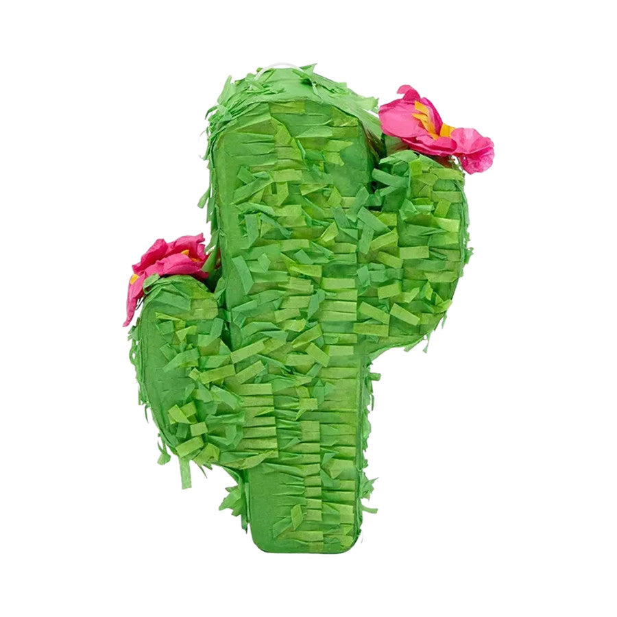 A & E Cages Happy Beaks Prefilled Pinata Foraging Bird Toy