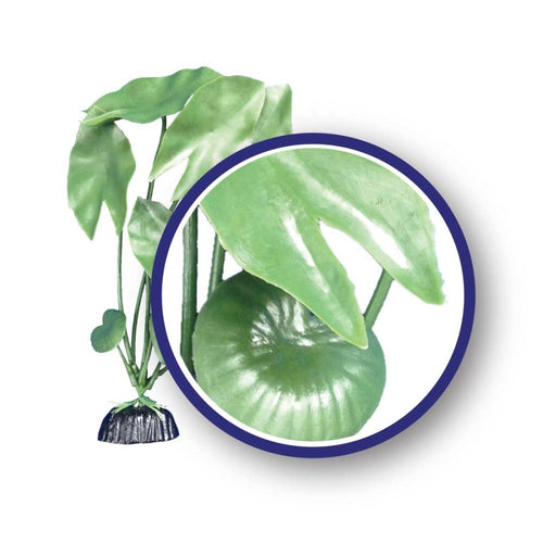 ABOUT US Weco Products Freshwater Series Tiger Lotus Aquarium Plant