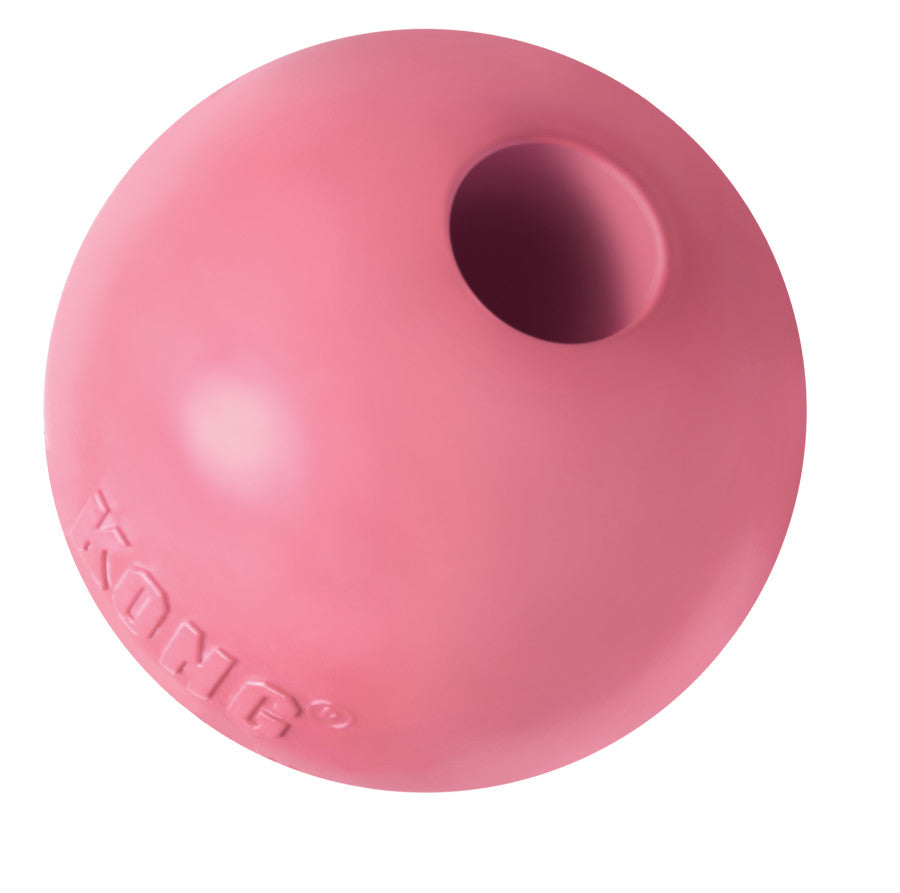 KONG Puppy Ball with Hole Dog Toy