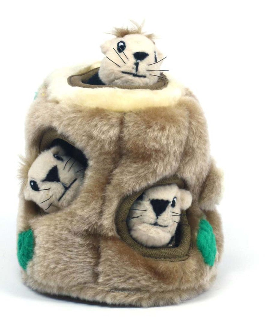 Outward Hound Hide-A-Squirrel Dog Toy