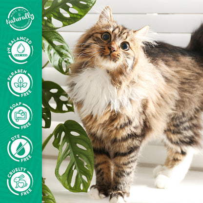 TropiClean Tearless Hypoallergenic Cat &amp; Kitten Shampoo - 12 oz.
