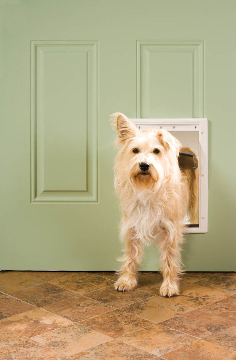 PetSafe Plastic Pet Door