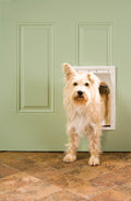 PetSafe Plastic Pet Door