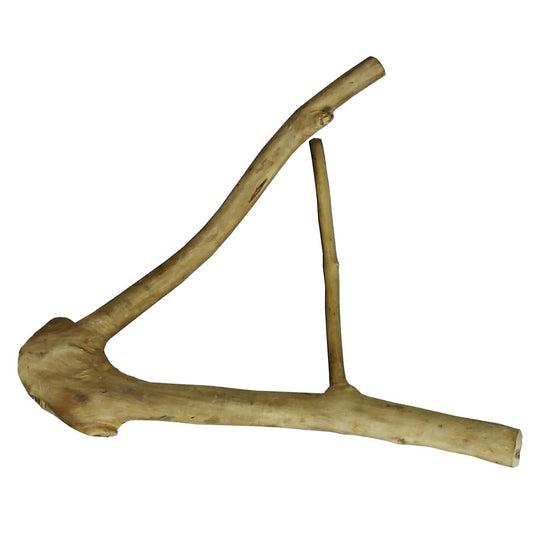 A & E Cages Java Wood Multi Branch Bird Perch