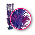 Weco Products Dream Series Fuschia Fern Aquarium Plant