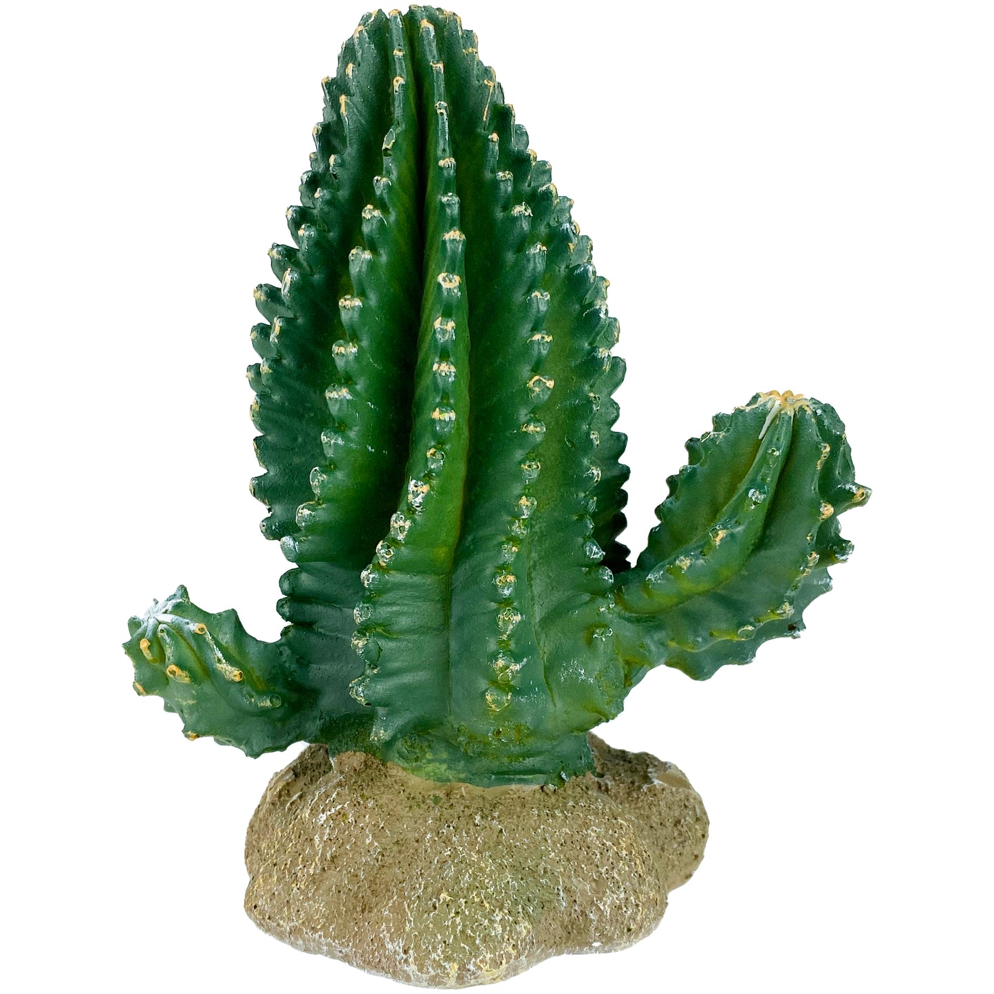 Komodo Cactus Plant Columnar - 1ea/5.9 in