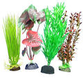 Weco Products Freshwater Aquarium Plant 101