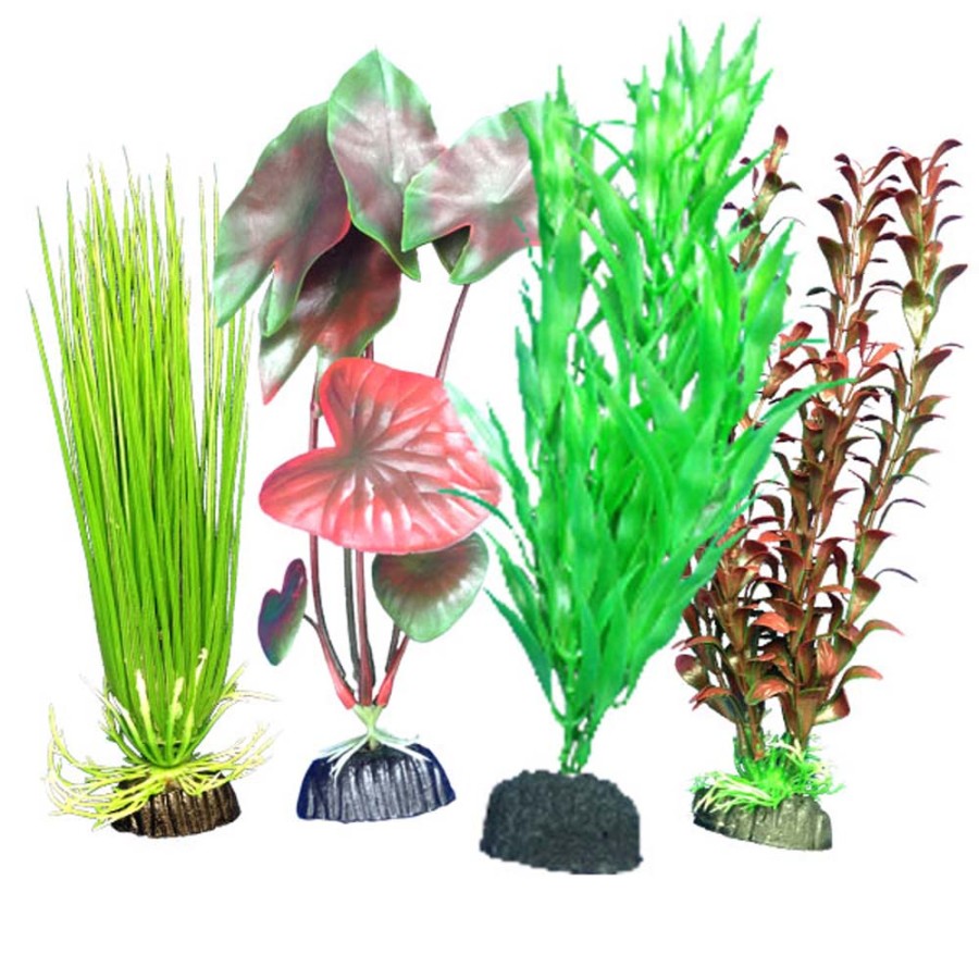 Weco Products Freshwater Aquarium Plant 101