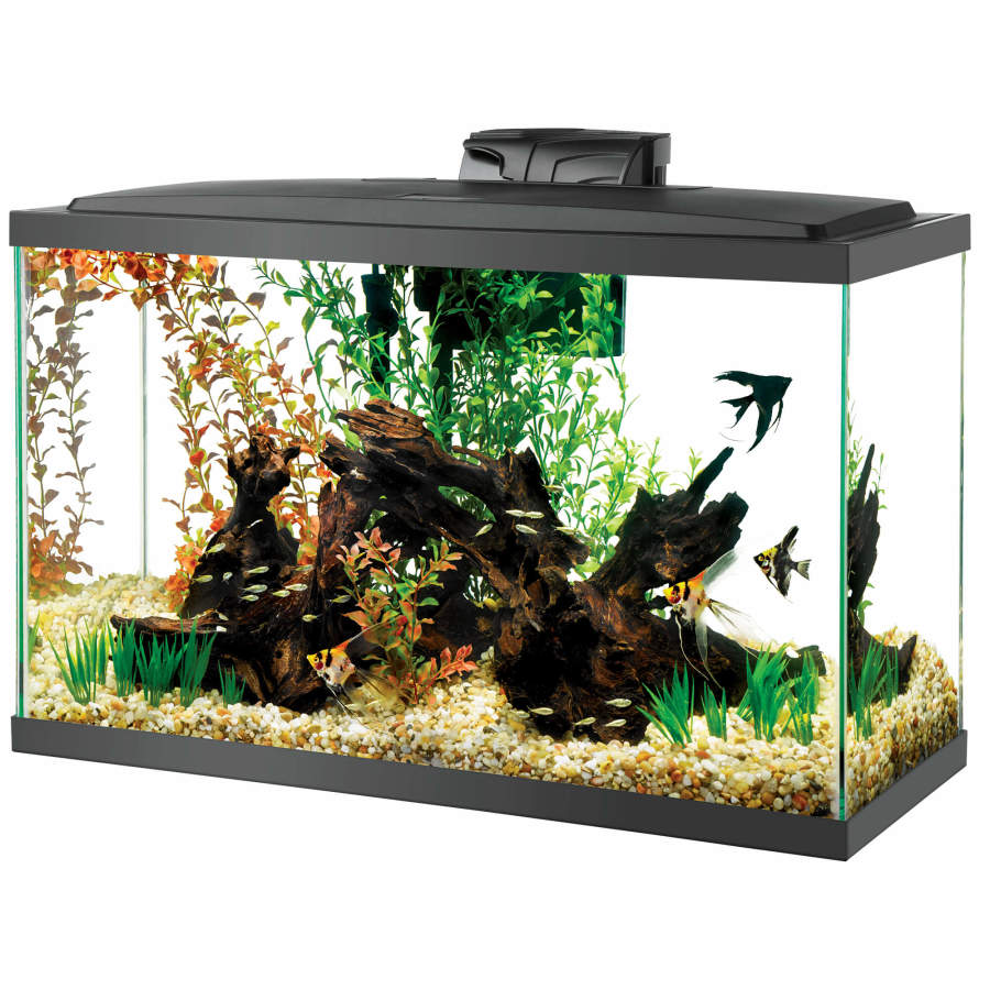 Aqueon Pre-Priced LED Aquarium Kit