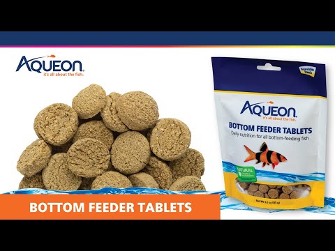 Aqueon Bottom Feeder Tablets.
