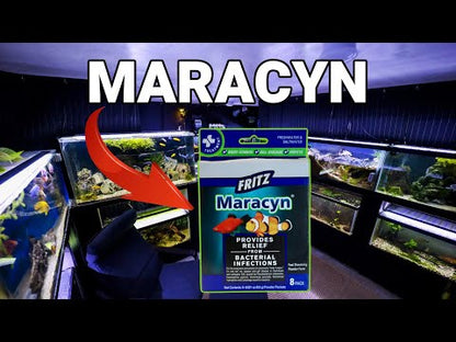 Fritz Maracyn